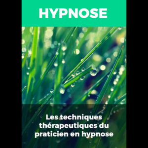 Les Techniques Thérapeutiques du Praticien en Hypnose